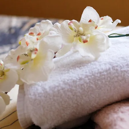 Siebers-ferienwohnung